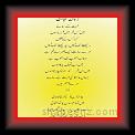 Zaman gunjay 01 * 22.03.2008 * 533 x 858 * (44KB)